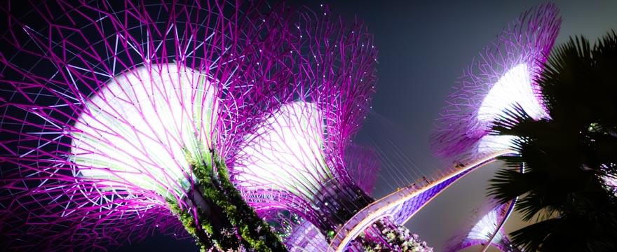Supertree in Gardens by the bay